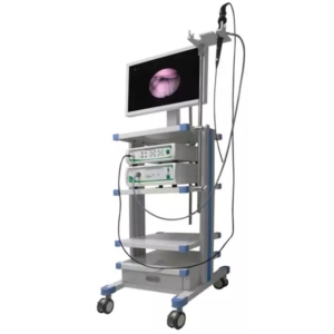 Flexible endoscopy system