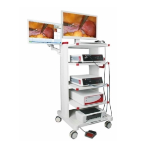 Rigid Endoscopy System